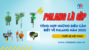 PALANG LÀ GÌ TỔNG HỢP NHỮNG ĐIỀU CẦN BIẾT VỀ PALANG