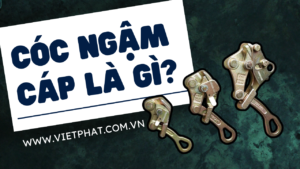Cóc ngậm cáp là gì
